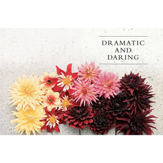 Dahlias; Beautiful Varieties For Home & Garden (Hardcover)