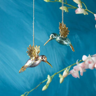 Feisty Hummingbird Ornament