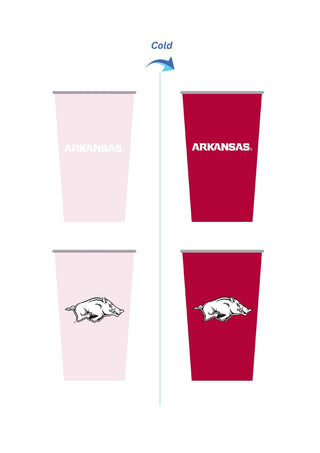 Collegiate Color Changing Aluminum Cup