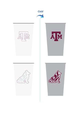 Collegiate Color Changing Aluminum Cup