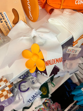 Hair Bow with Camp/Tribe on Tail