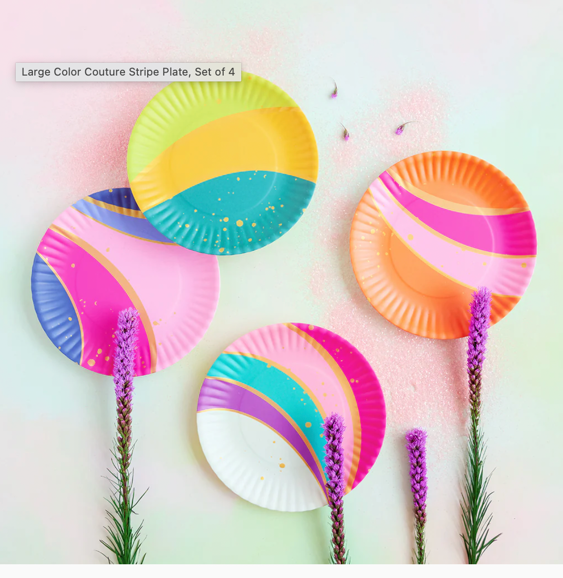 Color Couture Stripe Plate Set