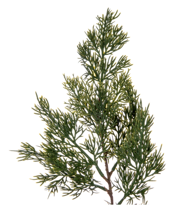 66" Cypress Garland- Artificial