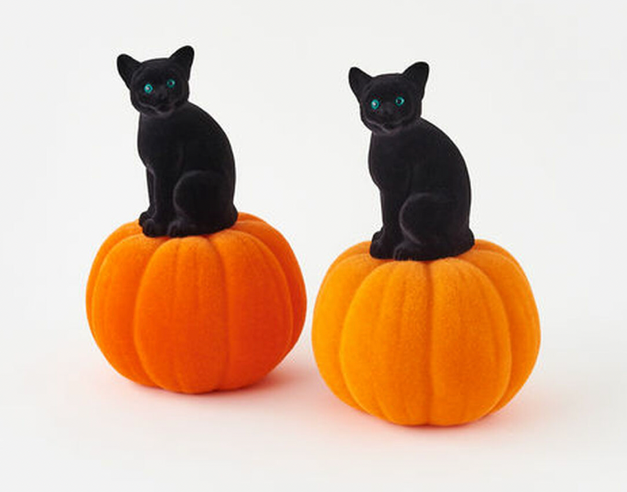 Flocked Cat on Pumpkin