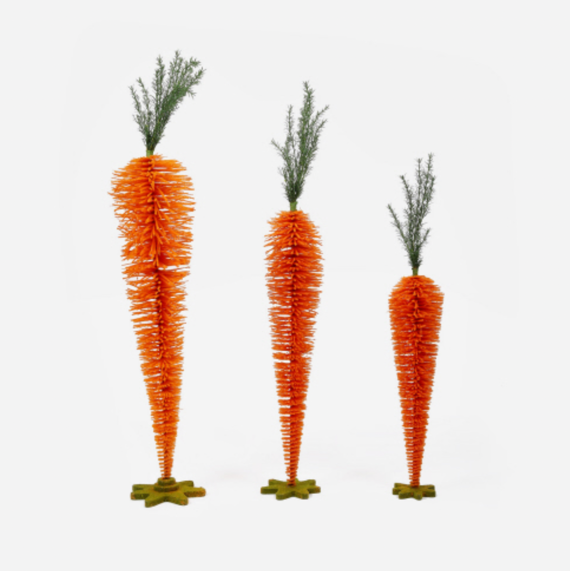 Giant Carrot Display