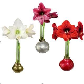 a group of flowers in a vase