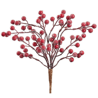 a red berries on a stem