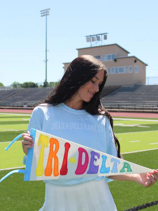Sorority Rainbow Pennant Flag