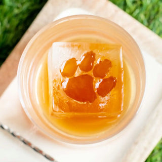 Clemson Cocktail Ice Tray
