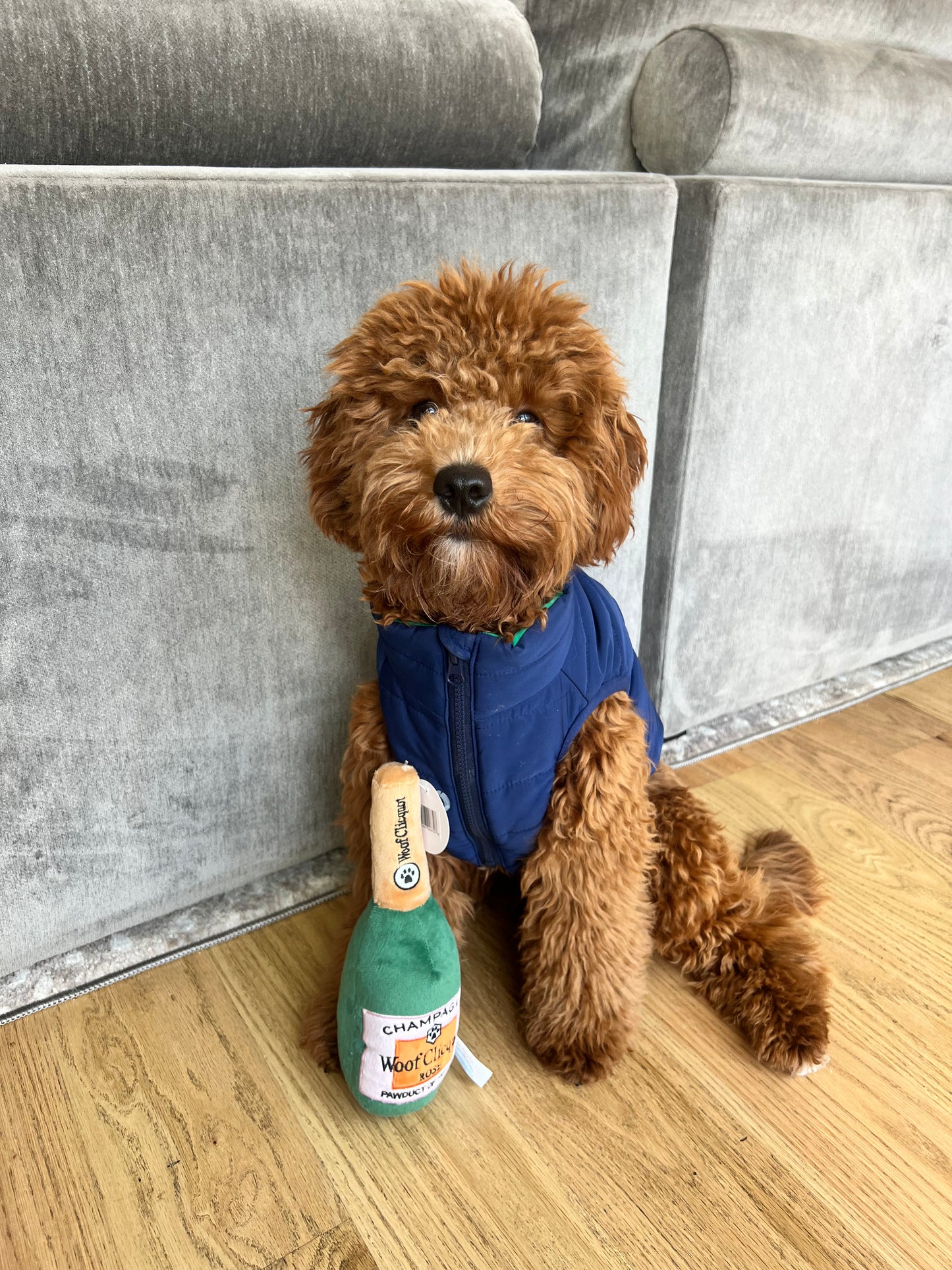 Woof Clicquot Rosè