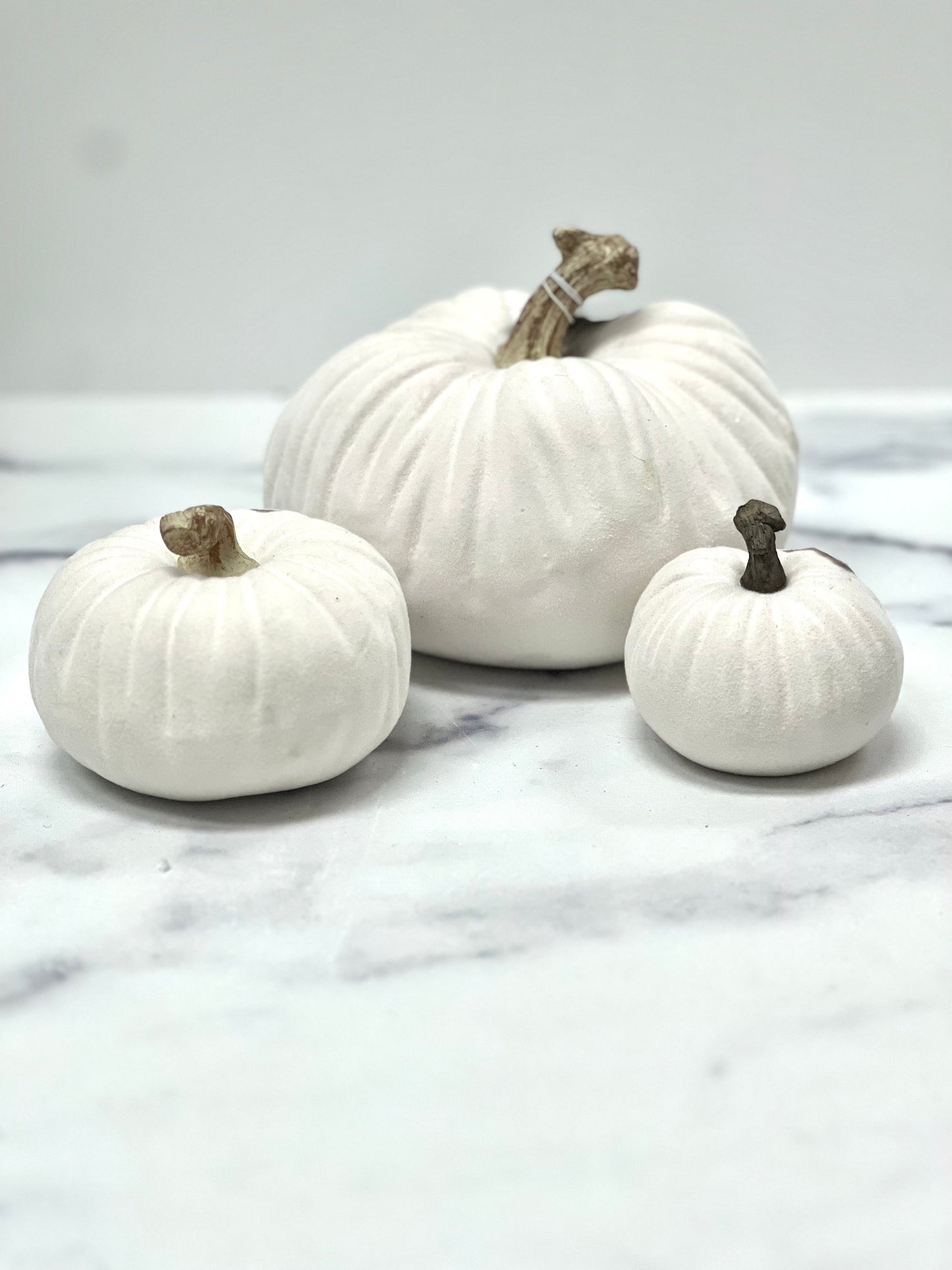 Flocked Ceramic Pumpkins- White