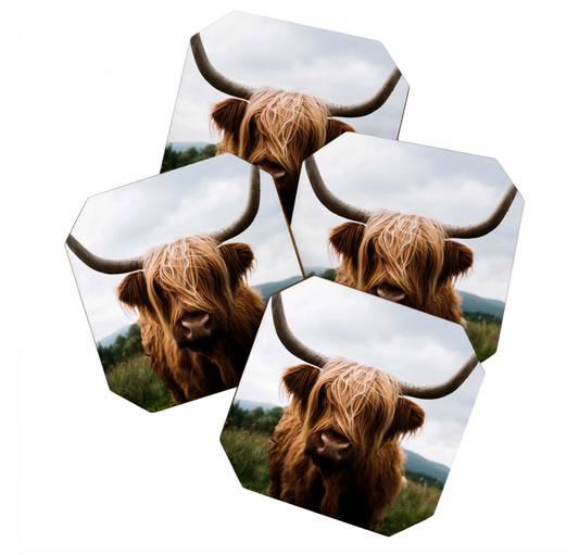 Scottish Cow Coasters