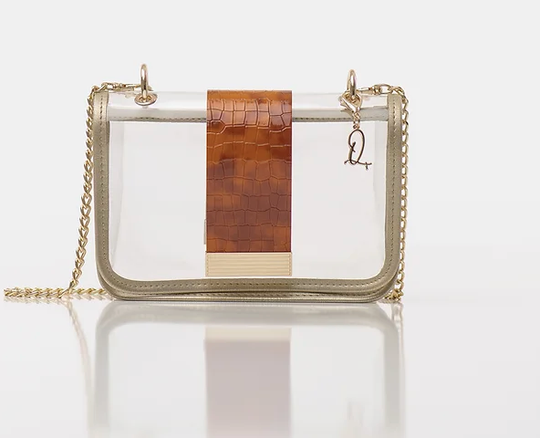 Clear Bag with Burnt & Light Orange Bag