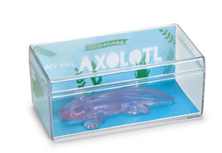 Awesome Axolotl