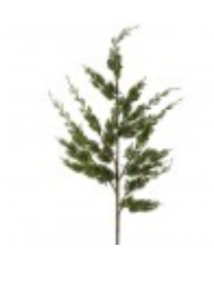 38"REAL TOUCH CYPRUS SPRAY