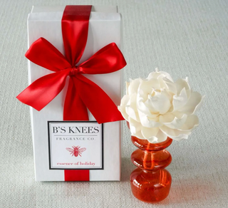 Essence of Holiday Diffuser