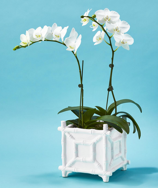 Hampton Faux Bamboo Fretwork Cachepot