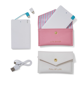 Power Bank Travel Case