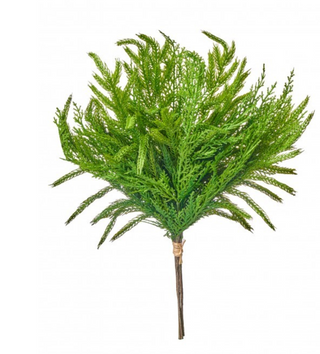 a green plant on a stick
