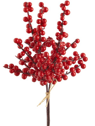Berry Bundle