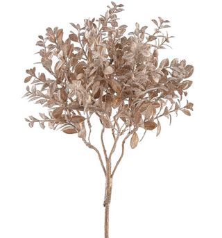 a gold leafy plant on a white background