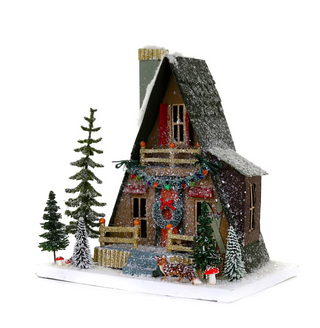 a house with snow on it