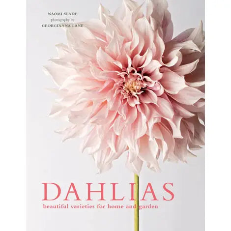 Dahlias; Beautiful Varieties For Home & Garden (Hardcover)