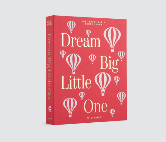 Dream Big Little Book